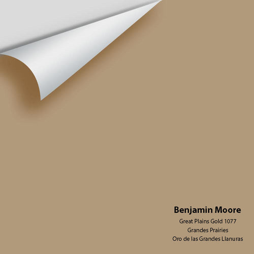 Benjamin Moore - Great Plains Gold 1077 Peel & Stick Color Sample
