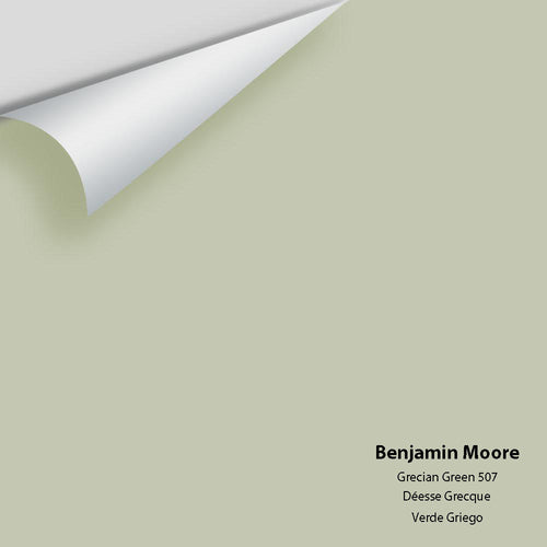 Benjamin Moore - Grecian Green 507 Peel & Stick Color Sample