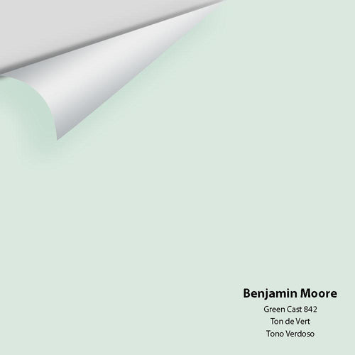 Benjamin Moore - Green Cast 842 Peel & Stick Color Sample