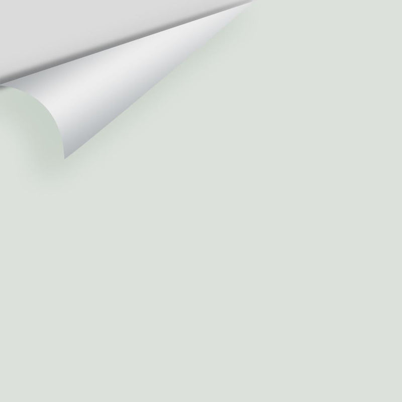 Benjamin Moore - Green Tint 2139-60 Peel & Stick Color Sample