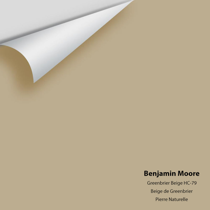 Benjamin Moore - Greenbrier Beige HC-79 Peel & Stick Color Sample