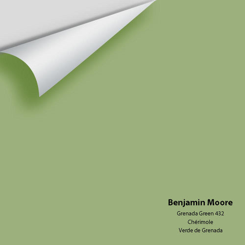 Benjamin Moore - Grenada Green 432 Peel & Stick Color Sample