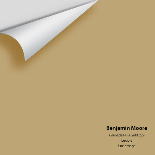 Benjamin Moore - Grenada Hills Gold 229 Peel & Stick Color Sample