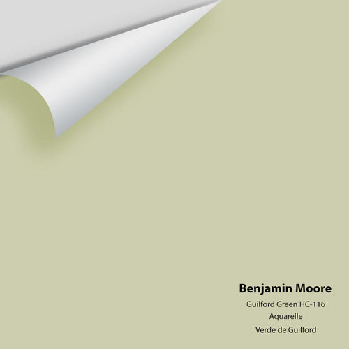 Benjamin Moore - Guilford Green HC-116 Peel & Stick Color Sample