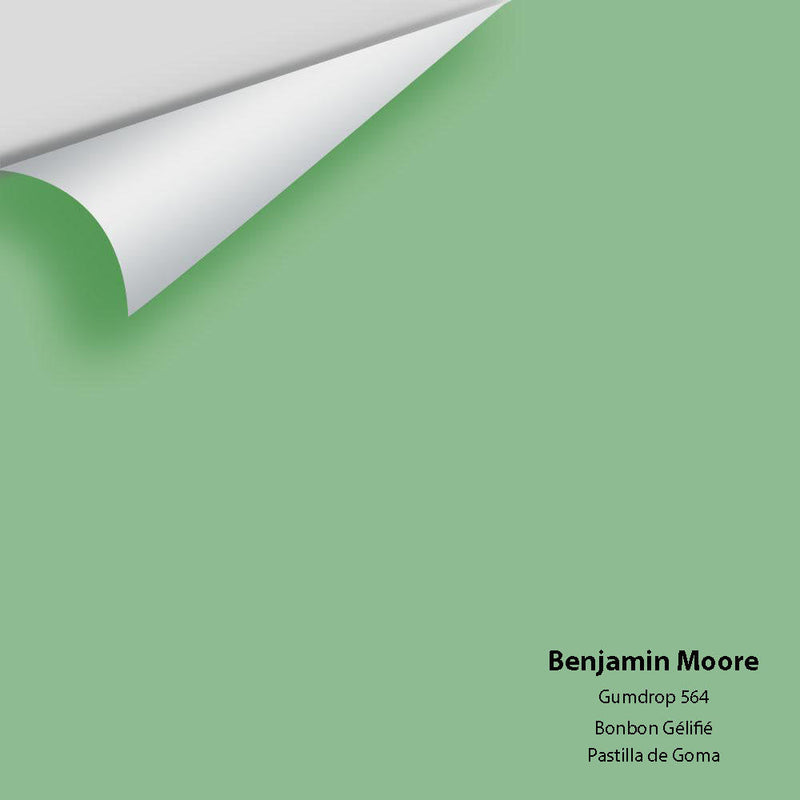 Benjamin Moore - Gumdrop 564 Peel & Stick Color Sample