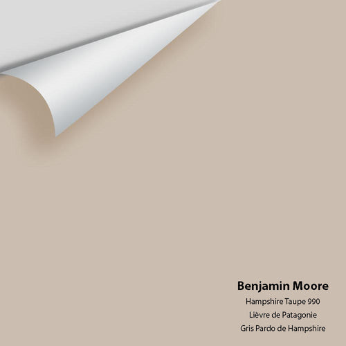 Benjamin Moore - Hampshire Taupe 990 Peel & Stick Color Sample