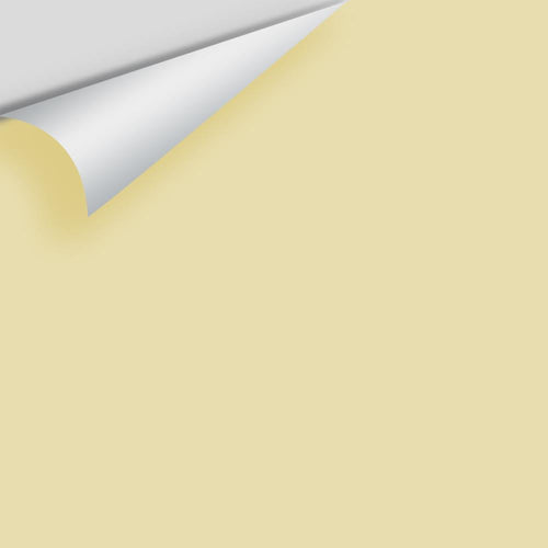 Benjamin Moore - Hampton Green 2150-50 Peel & Stick Color Sample