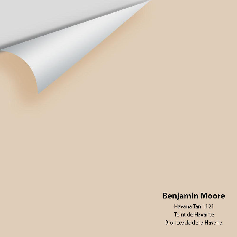 Benjamin Moore - Havana Tan 1121 Peel & Stick Color Sample