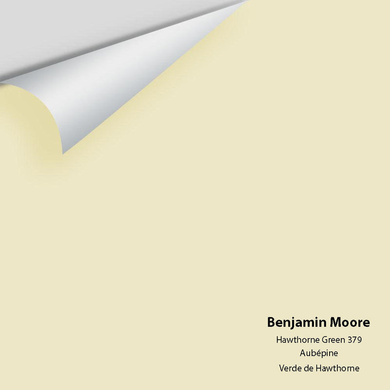 Benjamin Moore - Hawthorne Green 379 Peel & Stick Color Sample