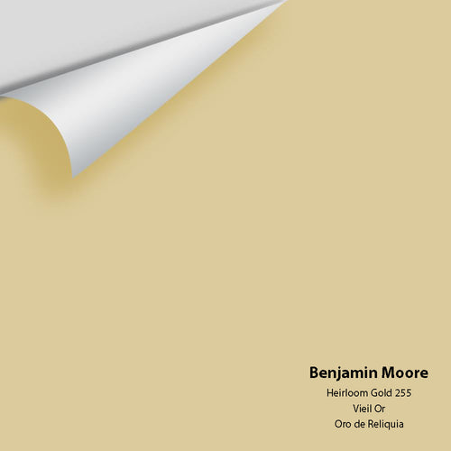 Benjamin Moore - Heirloom Gold 255 Peel & Stick Color Sample
