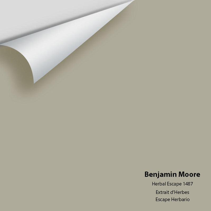 Benjamin Moore - Herbal Escape 1487 Peel & Stick Color Sample