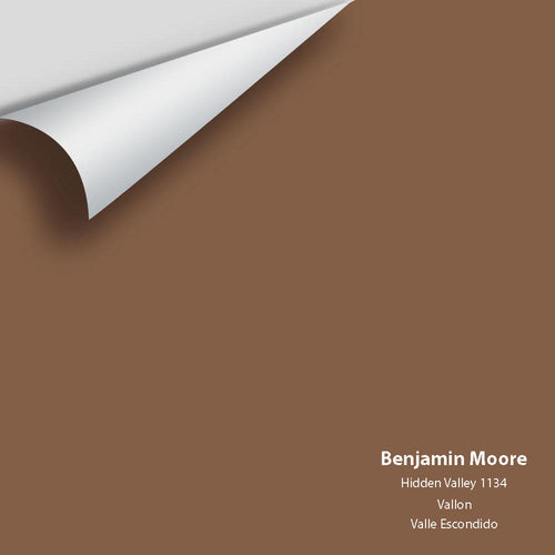 Benjamin Moore - Hidden Valley 1134 Peel & Stick Color Sample