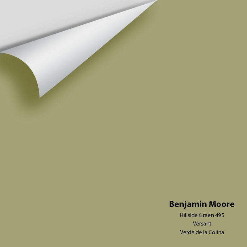 Benjamin Moore - Hillside Green 495 Peel & Stick Color Sample