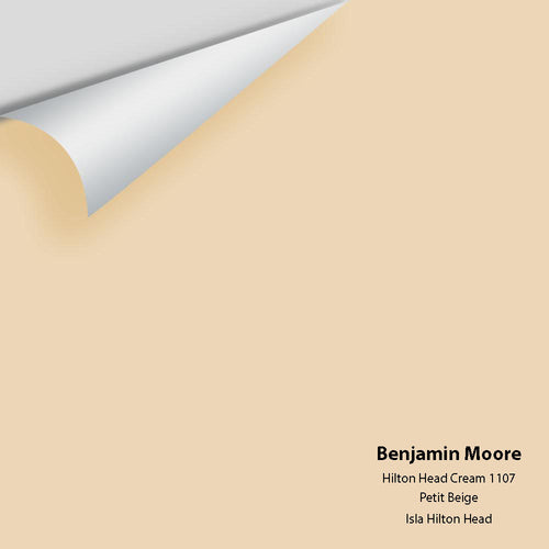 Benjamin Moore - Hilton Head Cream 1107 Peel & Stick Color Sample