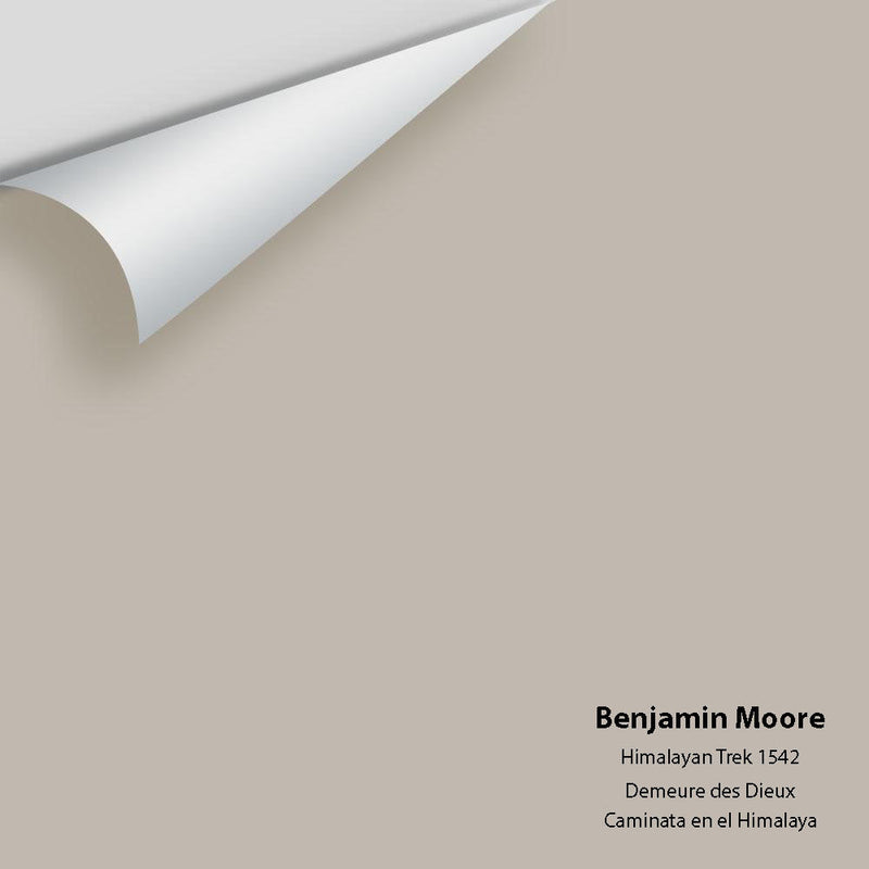 Benjamin Moore - Himalayan Trek 1542 Peel & Stick Color Sample