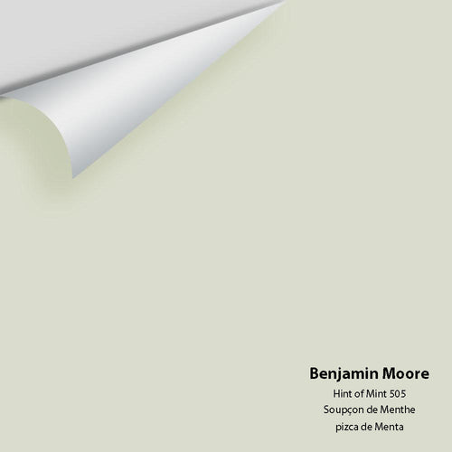 Benjamin Moore - Hint Of Mint 505 Peel & Stick Color Sample