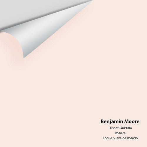 Benjamin Moore - Hint Of Pink 884 Peel & Stick Color Sample