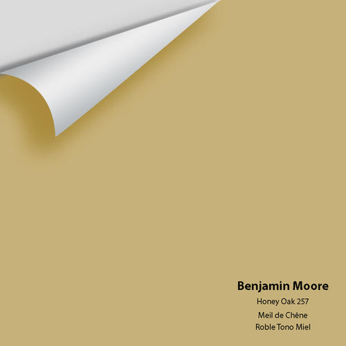 Benjamin Moore - Honey Oak 257 Peel & Stick Color Sample