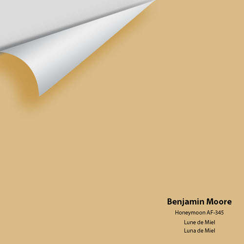 Benjamin Moore - Honeymoon AF-345 Peel & Stick Color Sample