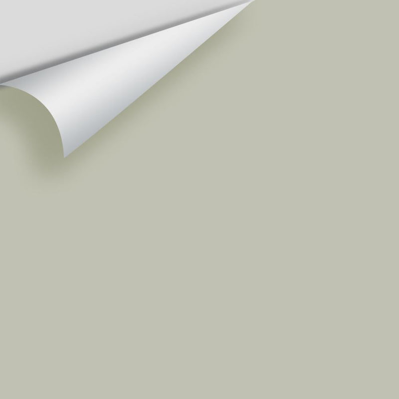 Benjamin Moore - Horizon Gray 2141-50 Peel & Stick Color Sample