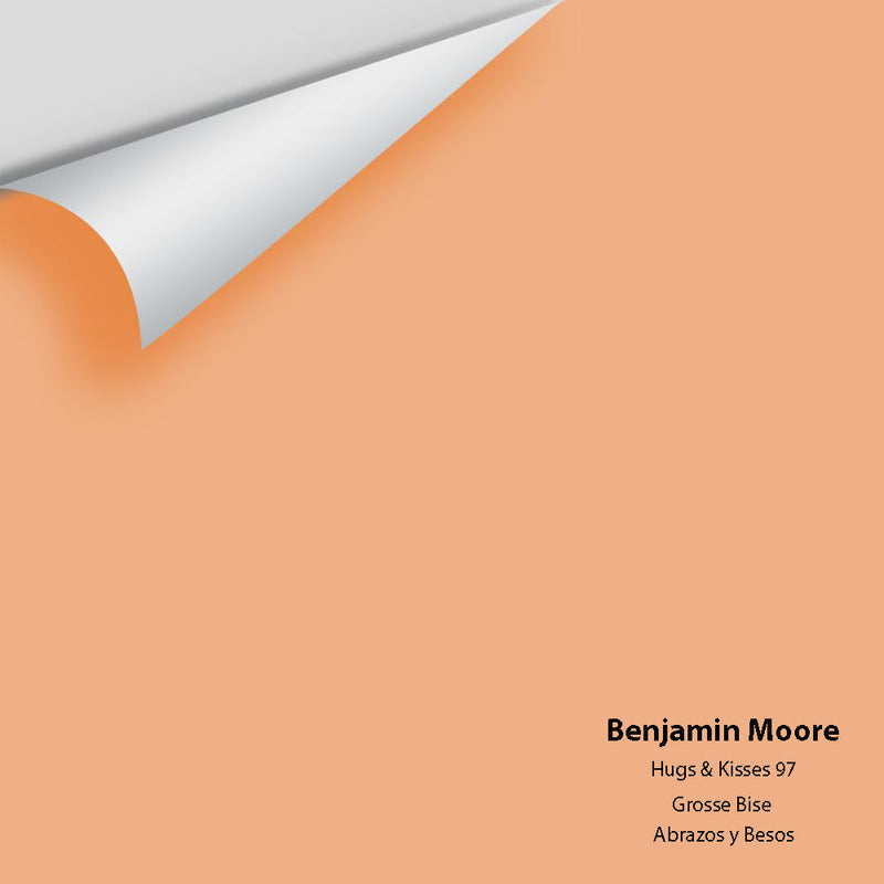 Benjamin Moore - Hugs & Kisses 97 Peel & Stick Color Sample