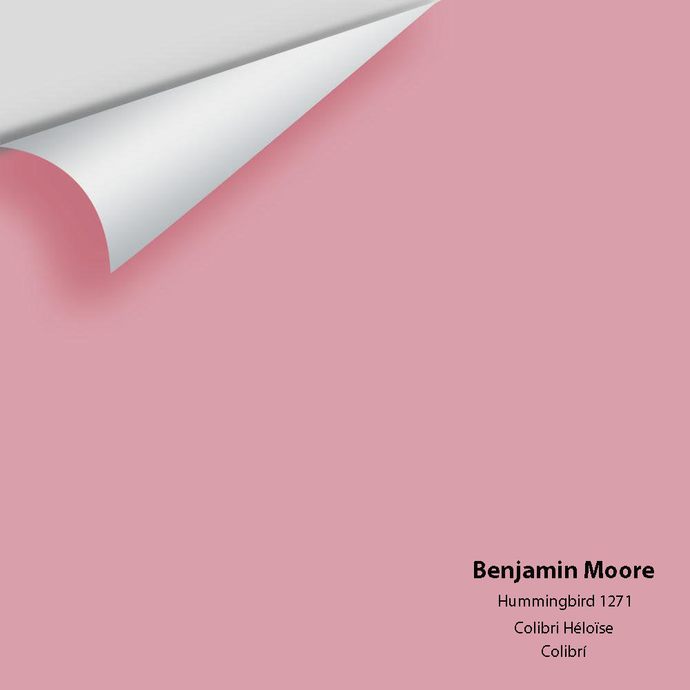 The Color House Benjamin Moore Peel & Stick Paint Samples – thecolorhouse