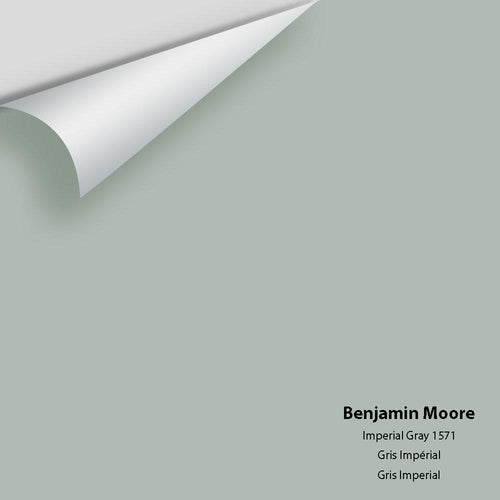 Benjamin Moore - Imperial Gray 1571 Peel & Stick Color Sample
