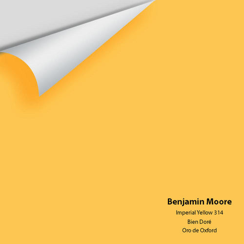 Benjamin Moore - Imperial Yellow 314 Peel & Stick Color Sample