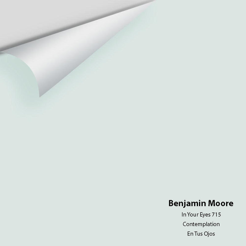 Benjamin Moore - In Your Eyes 715 Peel & Stick Color Sample