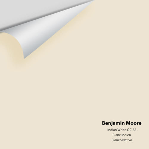 Benjamin Moore - Indian White OC-88 Peel & Stick Color Sample