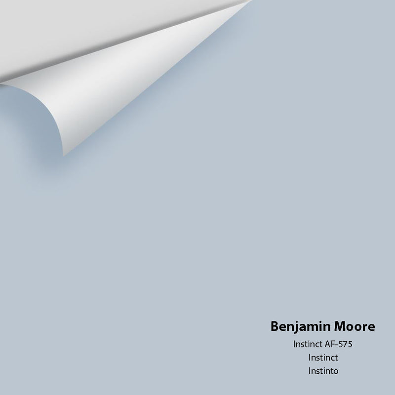 Benjamin Moore - Instinct AF-575 Peel & Stick Color Sample