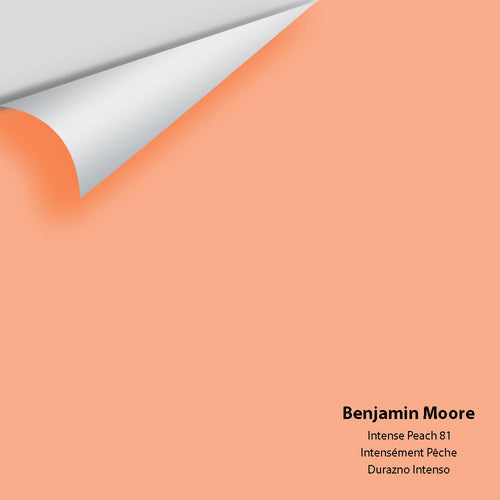 Benjamin Moore - Intense Peach 81 Peel & Stick Color Sample