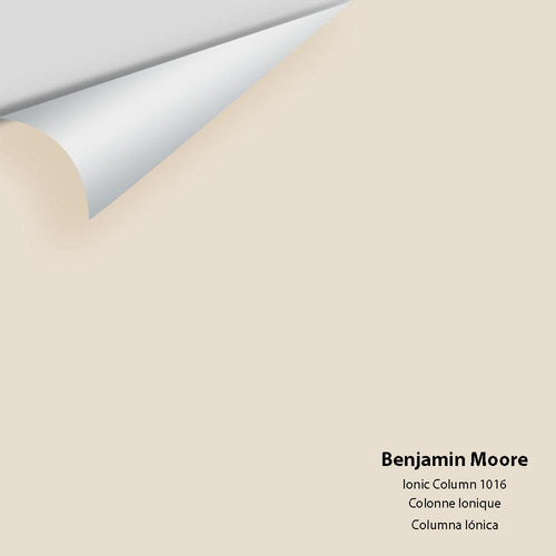 Benjamin Moore - Ionic Column 1016 Peel & Stick Color Sample