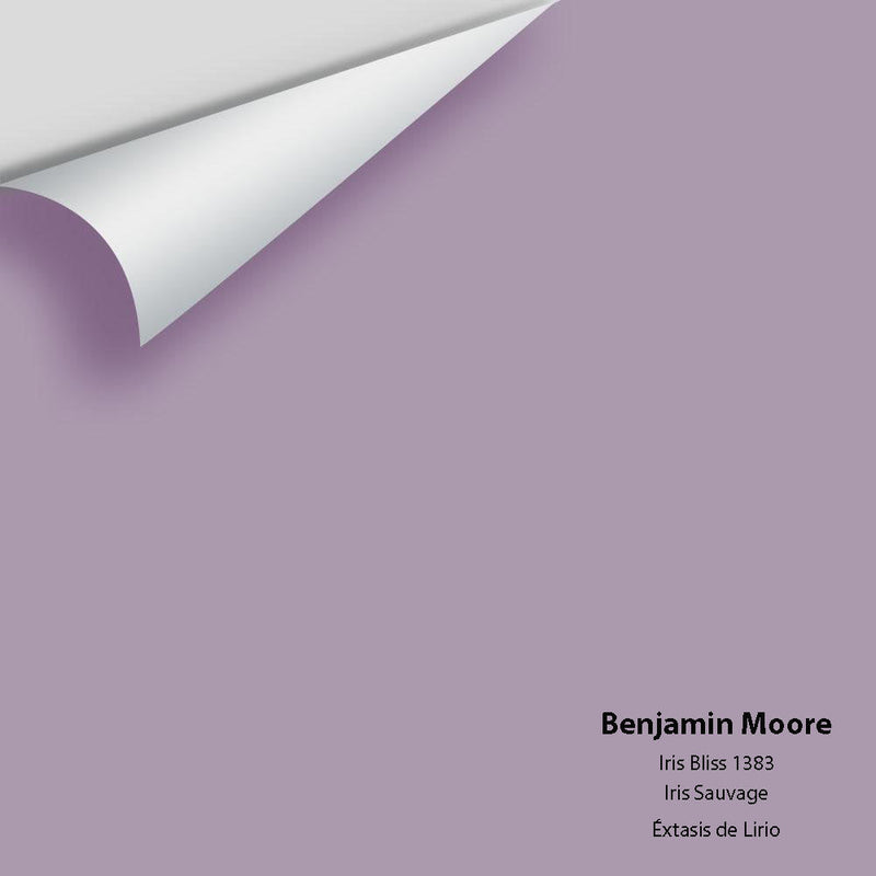 Benjamin Moore - Iris Bliss 1383 Peel & Stick Color Sample