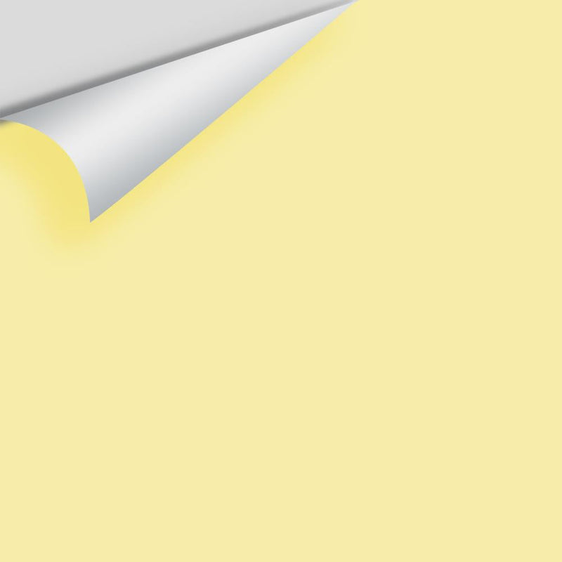 Benjamin Moore - Jasper Yellow 2024-50 Peel & Stick Color Sample