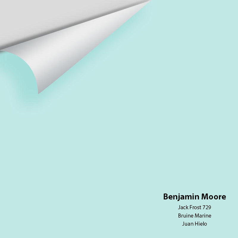 Benjamin Moore - Jack Frost 729 Peel & Stick Color Sample