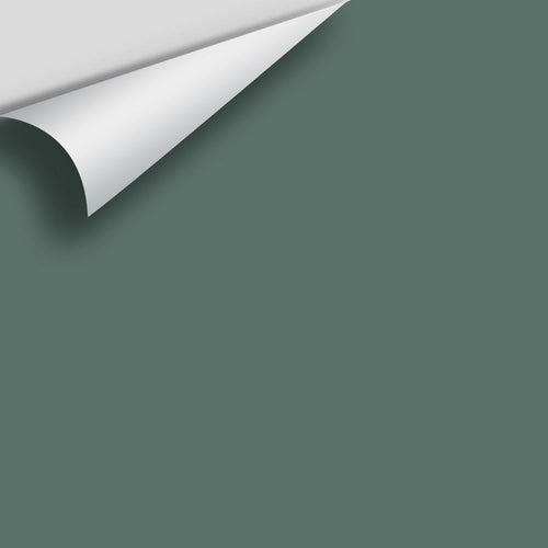 Benjamin Moore - Jack Pine 692/CC-660 Peel & Stick Color Sample