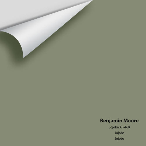 Benjamin Moore - Jojoba AF-460 Peel & Stick Color Sample