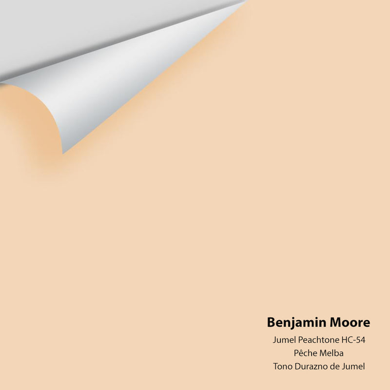 Benjamin Moore - Jumel Peachtone HC-54 Peel & Stick Color Sample