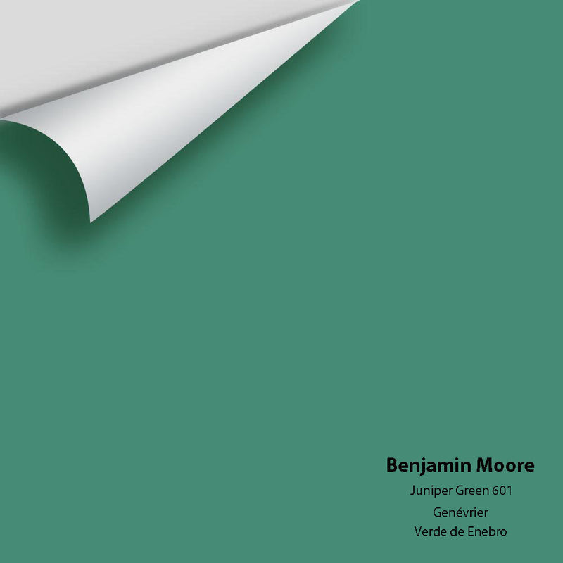 Benjamin Moore - Juniper Green 601 Peel & Stick Color Sample