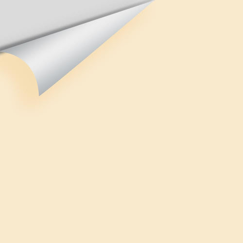 Benjamin Moore - Kansas Grain 2160-60 Peel & Stick Color Sample