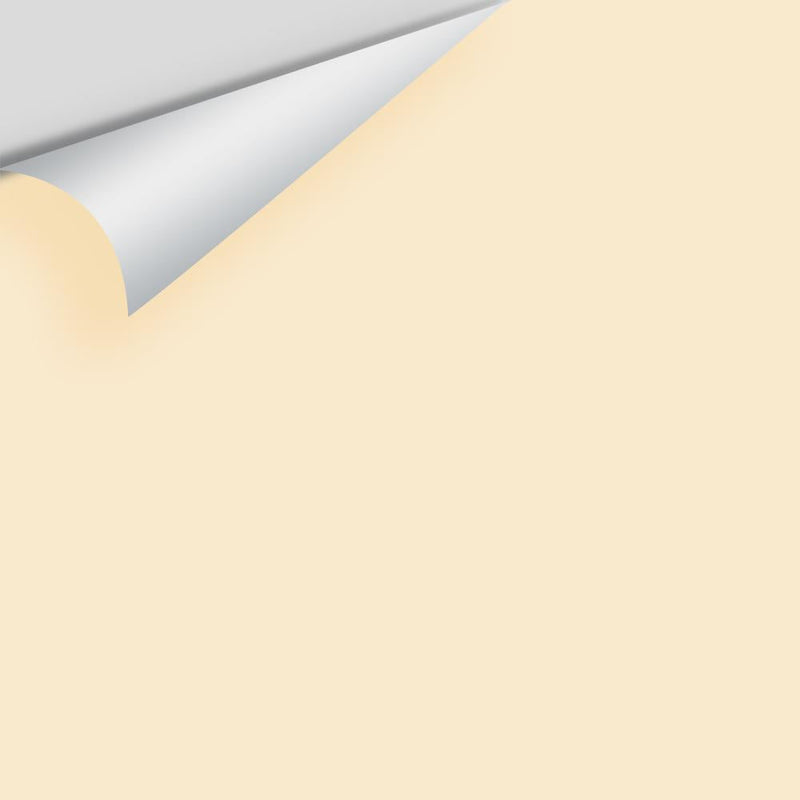 Benjamin Moore - Kansas Grain 2160-60 Peel & Stick Color Sample