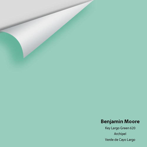 Benjamin Moore - Key Largo Green 620 Peel & Stick Color Sample