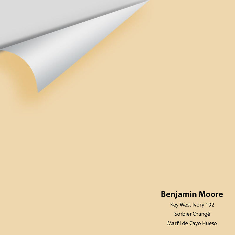 Benjamin Moore - Key West Ivory 192 Peel & Stick Color Sample