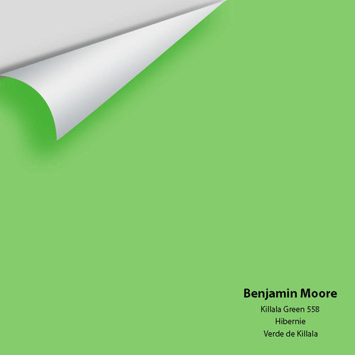 Benjamin Moore - Killala Green 558 Peel & Stick Color Sample