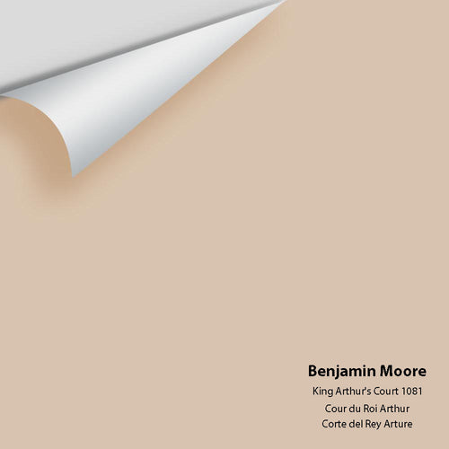 Benjamin Moore - King Arthur's Court 1081 Peel & Stick Color Sample