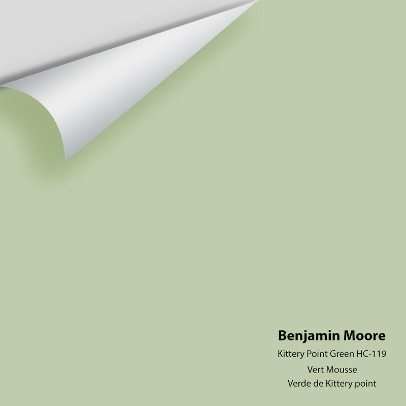 Benjamin Moore - Kittery Point Green HC-119 Peel & Stick Color Sample