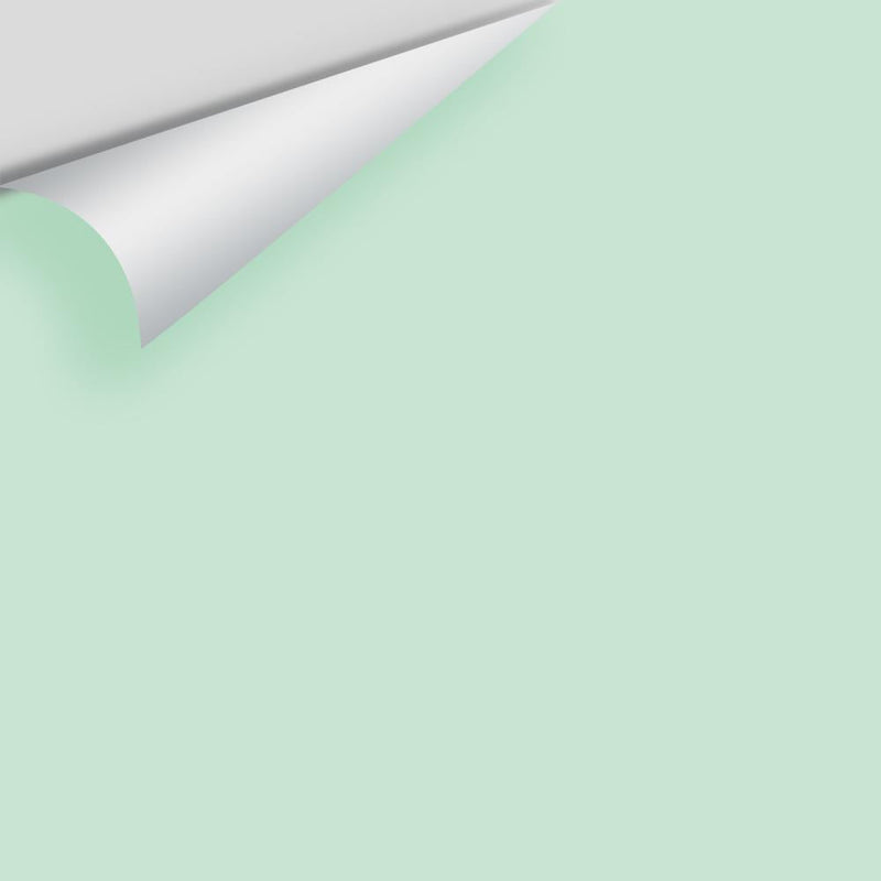 Benjamin Moore - Leisure Green 2035-60 Peel & Stick Color Sample