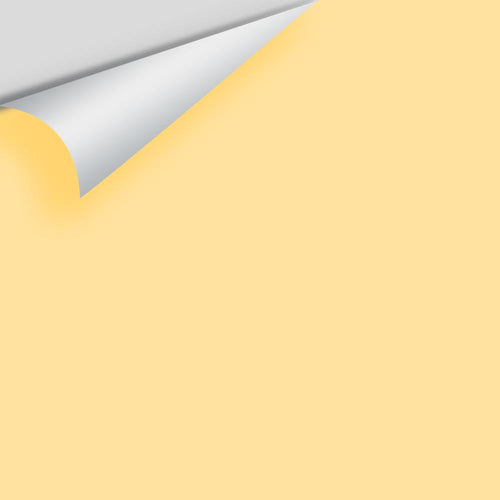 Benjamin Moore - Lemon Drops 2019-50 Peel & Stick Color Sample