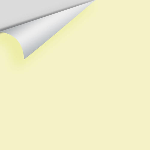 Benjamin Moore - Light Daffodil 2027-60 Peel & Stick Color Sample